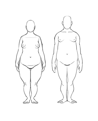 Les profils de répartition des graisses androïde et gynoïde.